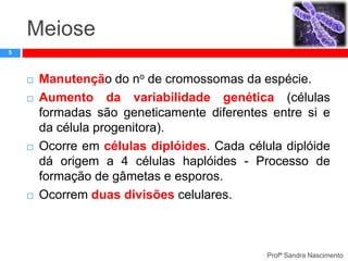 Meiose
5








Manutenção do no de cromossomas da espécie.
Aumento da variabilidade genética (células
formadas são geneticamente diferentes entre si e
da célula progenitora).
Ocorre em células diplóides. Cada célula diplóide
dá origem a 4 células haplóides - Processo de
formação de gâmetas e esporos.
Ocorrem duas divisões celulares.

Profª Sandra Nascimento

 