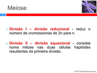 Meiose
6





Divisão I – divisão reducional - reduz o
número de cromossomas de 2n para n.
Divisão II – divisão equacional - consiste
numa mitose nas duas células haplóides
resultantes da primeira divisão.

Profª Sandra Nascimento

 