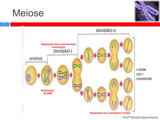 Meiose
7

DIVISÃO II

Separação dos cromossomas
homólogos

DIVISÃO I

Duplicação
do DNA

Separação dos cromatídios irmãos

Profª Sandra Nascimento

 