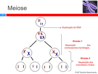 Meiose
8

Duplicação do DNA

Divisão 1
Separação
dos
cromossomos homólogos.

Divisão 2

Separação dos
cromatidios irmãos.

Profª Sandra Nascimento

 