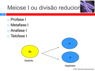 Meiose I ou divisão reducional
9






Profase I
Metafase I
Anafase I
Telofase I
n

2n
n
Diplóide
Haplóides
Profª Sandra Nascimento

 