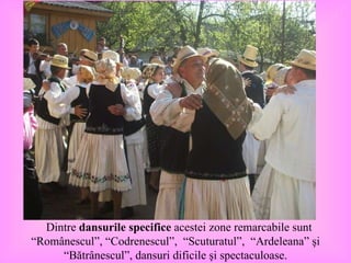Dintre  dansurile specifice  acestei zone remarcabile sunt “Românescul”, “Codrenescul”, “Scuturatul”, “Ardeleana” şi “Bătrânescul”, dansuri dificile şi spectaculoase. 