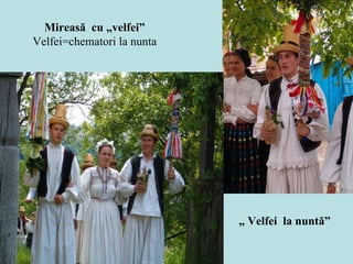 „  Velfei  la nuntă”   Mireasă  cu „velfei” Velfei=chematori la nunta 