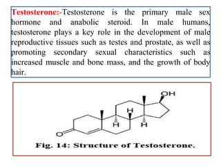 Testosterone Primary Sex hormones - Medicinal Chemistry | PPTX