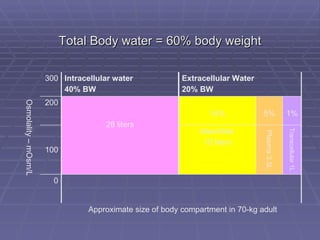 Total Body water = 60% body weight Approximate size of body compartment in 70-kg adult 0 100 200 300 1% 5% 14% 28 liters Transcellular 1L Plasma 3.5L Interstitial  10 liters Extracellular Water  20% BW Intracellular water 40% BW Osmolality – mOsm/L 