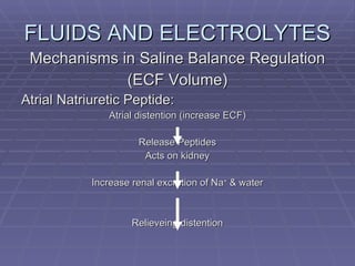 FLUIDS AND ELECTROLYTES Mechanisms in Saline Balance Regulation (ECF Volume) Atrial Natriuretic Peptide: Atrial distention (increase ECF) Release Peptides Acts on kidney Increase renal excretion of Na +  & water Relieveing distention 