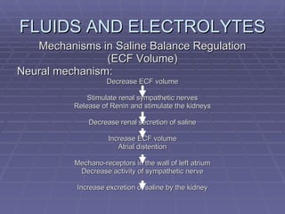 FLUIDS AND ELECTROLYTES Mechanisms in Saline Balance Regulation (ECF Volume) Neural mechanism: Decrease ECF volume Stimulate renal sympathetic nerves Release of Renin and stimulate the kidneys Decrease renal secretion of saline Increase ECF volume Atrial distention Mechano-receptors in the wall of left atrium Decrease activity of sympathetic nerve Increase excretion of saline by the kidney 