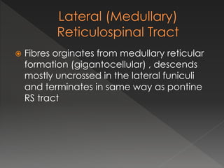  Fibres orginates from medullary reticular
formation (gigantocellular) , descends
mostly uncrossed in the lateral funiculi
and terminates in same way as pontine
RS tract
 