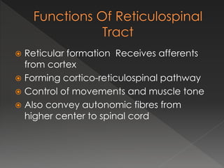  Reticular formation Receives afferents
from cortex
 Forming cortico-reticulospinal pathway
 Control of movements and muscle tone
 Also convey autonomic fibres from
higher center to spinal cord
 
