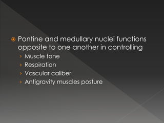  Pontine and medullary nuclei functions
opposite to one another in controlling
› Muscle tone
› Respiration
› Vascular caliber
› Antigravity muscles posture
 