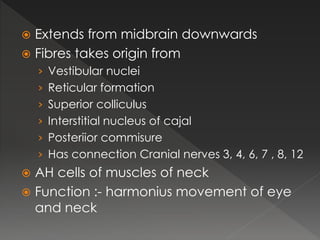  Extends from midbrain downwards
 Fibres takes origin from
› Vestibular nuclei
› Reticular formation
› Superior colliculus
› Interstitial nucleus of cajal
› Posteriior commisure
› Has connection Cranial nerves 3, 4, 6, 7 , 8, 12
 AH cells of muscles of neck
 Function :- harmonius movement of eye
and neck
 