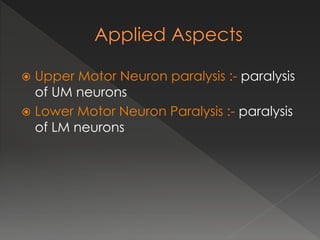  Upper Motor Neuron paralysis :- paralysis
of UM neurons
 Lower Motor Neuron Paralysis :- paralysis
of LM neurons
 