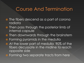  The fibers descend as a part of corona
radiata
 Then pass through the posterior limb of
internal capsule
 Then downwards through the brainstem
 Forming pyramids in the medulla
 At the lower part of medulla 90% of the
fibers decussate in the midline to reach
opposite side
 Forming two separate tracts from here
 
