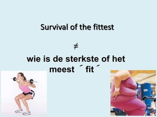 Survival of the fittest

≠
wie is de sterkste of het
meest ´fit´

16

 