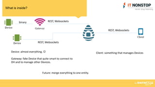 What is inside?
REST, Websockets
REST, Websockets
REST, Websockets
binary
Client: something that manages DevicesDevice: almost everything. 
Gateway: fake Device that quite smart to connect to
DH and to manage other Devices.
Future: merge everything to one entity.
 