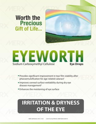 IVA- FINAL VISUAL PDF FILE.pdf