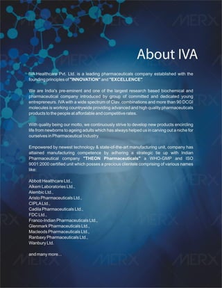 IVA- FINAL VISUAL PDF FILE.pdf