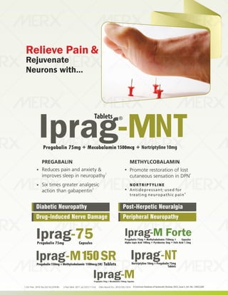 IVA- FINAL VISUAL PDF FILE.pdf