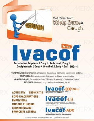 IVA- FINAL VISUAL PDF FILE.pdf