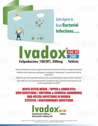 IVA- FINAL VISUAL PDF FILE.pdf