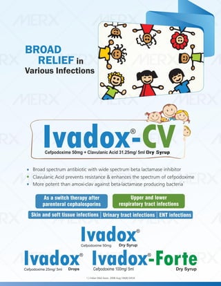 IVA- FINAL VISUAL PDF FILE.pdf