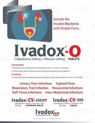 IVA- FINAL VISUAL PDF FILE.pdf