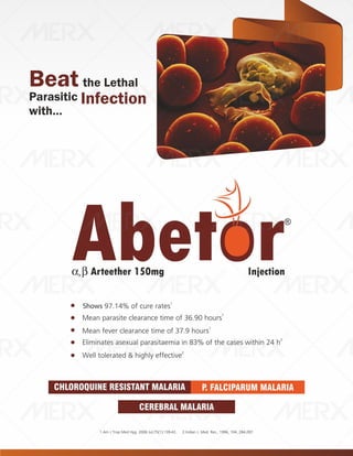 IVA- FINAL VISUAL PDF FILE.pdf