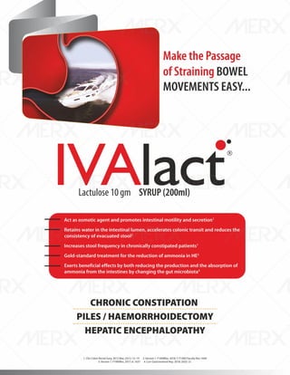 IVA- FINAL VISUAL PDF FILE.pdf