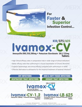 IVA- FINAL VISUAL PDF FILE.pdf