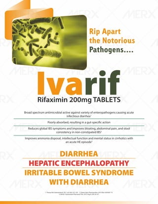 IVA- FINAL VISUAL PDF FILE.pdf