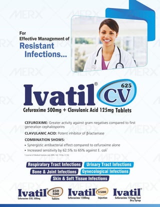 IVA- FINAL VISUAL PDF FILE.pdf