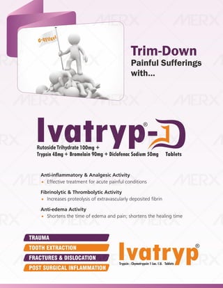 IVA- FINAL VISUAL PDF FILE.pdf