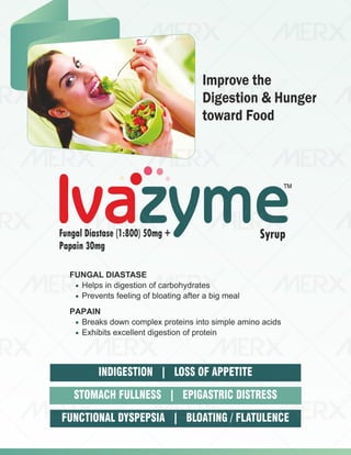 IVA- FINAL VISUAL PDF FILE.pdf