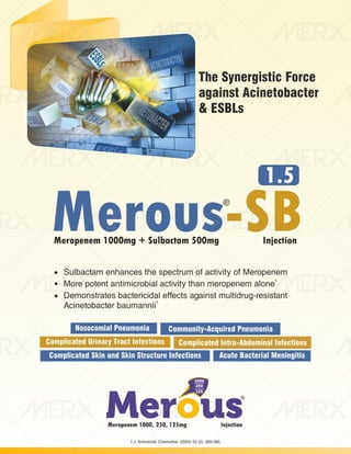 IVA- FINAL VISUAL PDF FILE.pdf