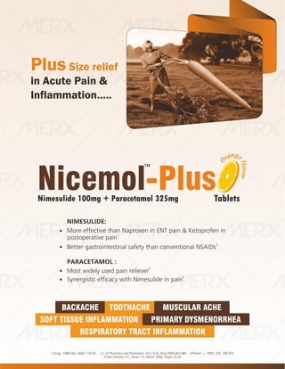 IVA- FINAL VISUAL PDF FILE.pdf