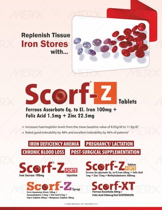 IVA- FINAL VISUAL PDF FILE.pdf