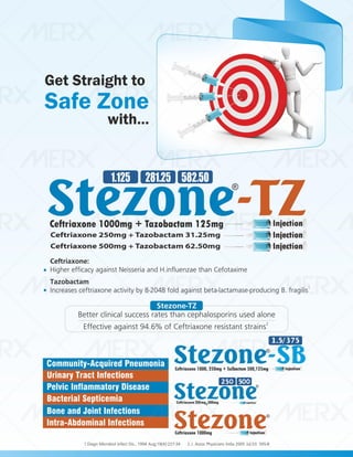 IVA- FINAL VISUAL PDF FILE.pdf