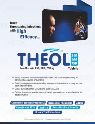 IVA- FINAL VISUAL PDF FILE.pdf