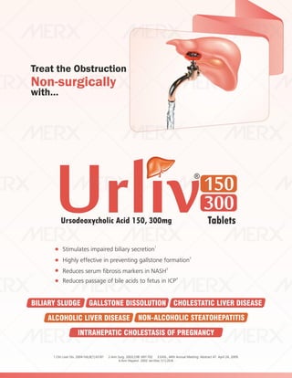 IVA- FINAL VISUAL PDF FILE.pdf