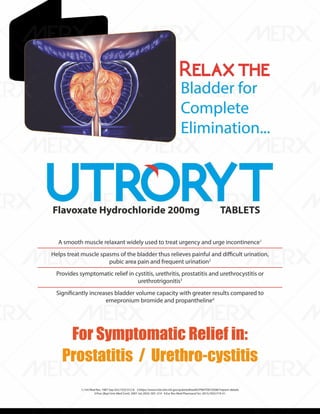 IVA- FINAL VISUAL PDF FILE.pdf