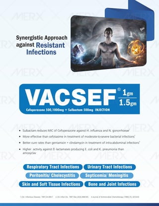 IVA- FINAL VISUAL PDF FILE.pdf