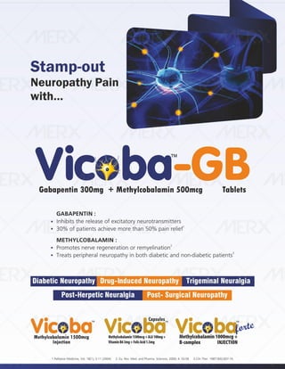 IVA- FINAL VISUAL PDF FILE.pdf