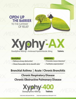 IVA- FINAL VISUAL PDF FILE.pdf