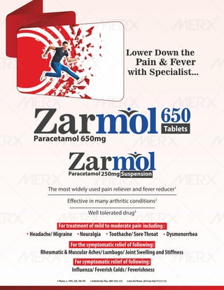 IVA- FINAL VISUAL PDF FILE.pdf