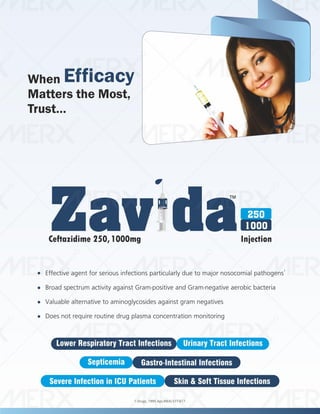 IVA- FINAL VISUAL PDF FILE.pdf