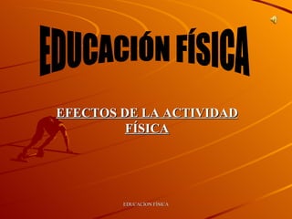 EFECTOS DE LA ACTIVIDAD FÍSICA EDUCACIÓN FÍSICA 