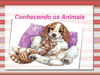 Conhecendo os Animais 