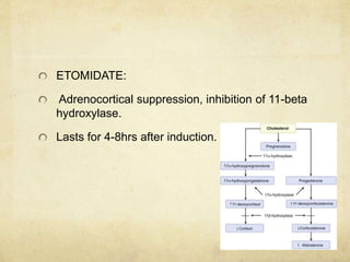 ETOMIDATE:
Adrenocortical suppression, inhibition of 11-beta
hydroxylase.
Lasts for 4-8hrs after induction.
 