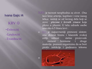 Ivana Gajic I4

KRV je tecnost neophodna za zivot . Ona

KRV 

-Eritrociti
-Leukociti
-Trombociti





tece kroz arterije, kapilare i vene naseg
tela,a sastoji se od tecnog dela koji se
zove plazma i krvnih zrnaca koja
plove u plazmi. U telu odrasle osobe
ima oko 6.5 litara krvi .
Krv je najsavrseniji prenosni sistem:
ona donosi hranu i kiseonik svakoj
celiji, odnosi
stetne proizvode
,
raznosi
hormone
i
druge
materije, pomaze organizmu da se bori
protiv infekcije i podesava telesnu
toplotu .

 