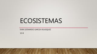 ECOSISTEMAS
IVAN LEONARDO GARCIA VELASQUEZ
10-B
 